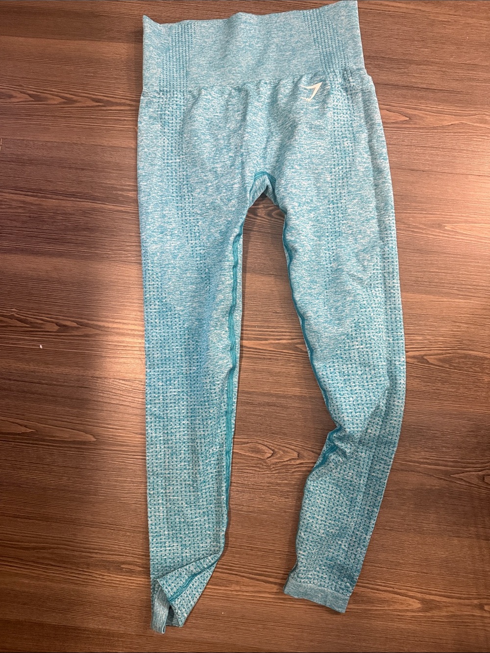 Gymshark women’s Aqua Seamless Leggings